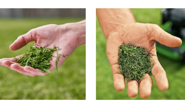 coarse vs fine lawn clippings