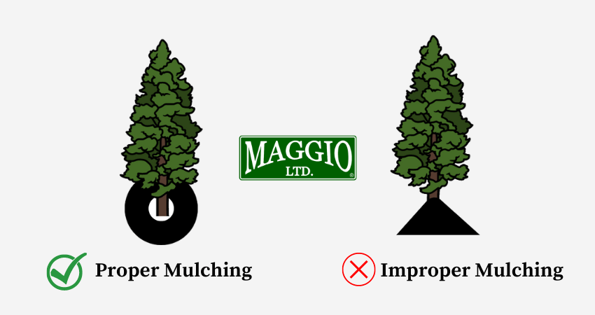 good and bad mulching