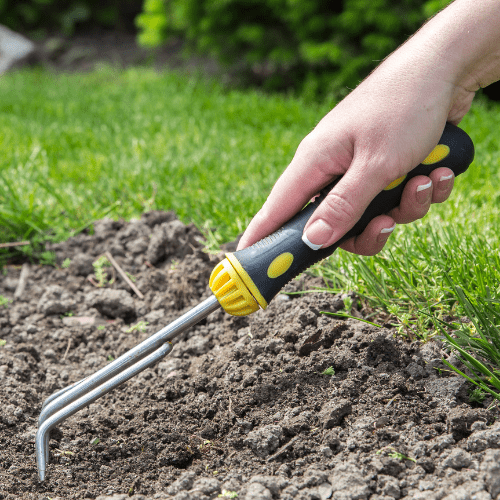 spade in grass