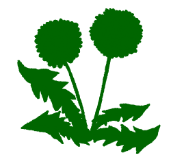 weed control maggio lawn care (1)